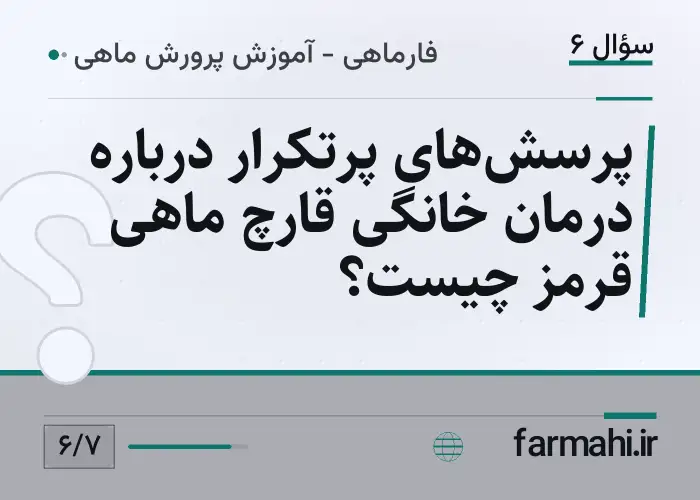 پرسش‌های پرتکرار درباره درمان خانگی قارچ ماهی قرمز چیست؟