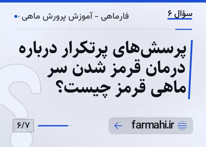 پرسش‌های پرتکرار درباره درمان قرمز شدن سر ماهی قرمز چیست؟