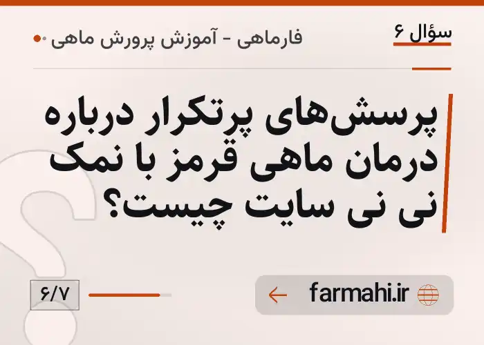 پرسش‌های پرتکرار درباره درمان ماهی قرمز با نمک نی نی سایت چیست؟