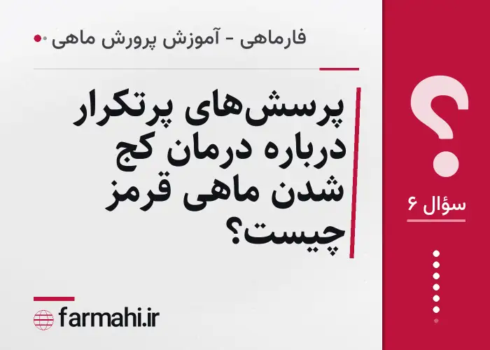 پرسش‌های پرتکرار درباره درمان کج شدن ماهی قرمز چیست؟