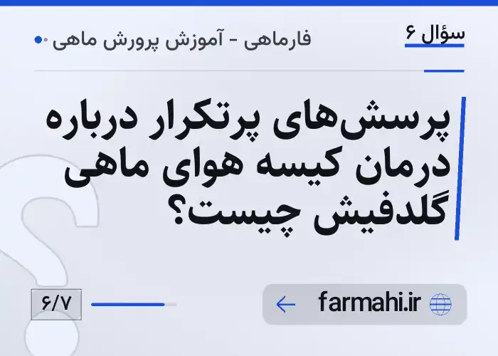 پرسش‌های پرتکرار درباره درمان کیسه هوای ماهی گلدفیش چیست؟
