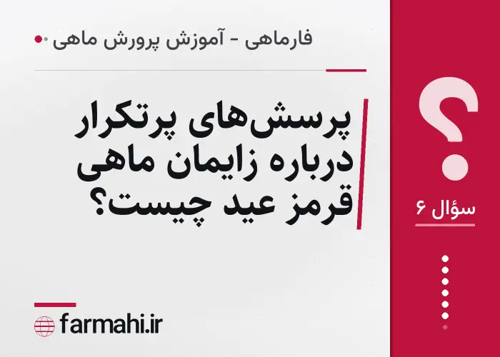 پرسش‌های پرتکرار درباره زایمان ماهی قرمز عید چیست؟