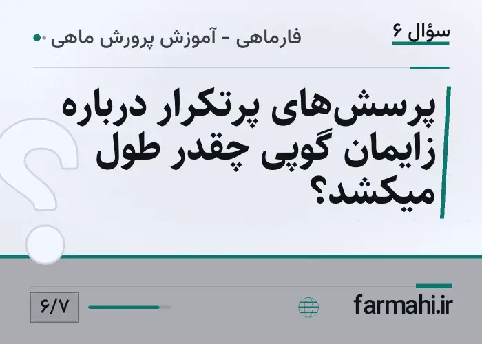 پرسش‌های پرتکرار درباره زایمان گوپی چقدر طول میکشد؟