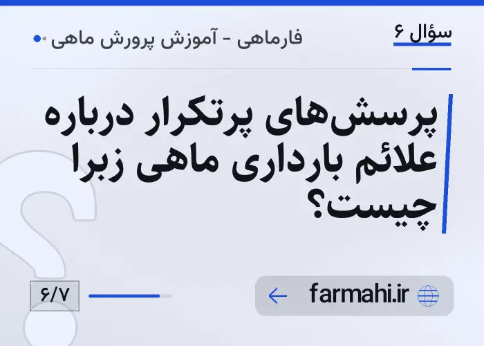 پرسش‌های پرتکرار درباره علائم بارداری ماهی زبرا چیست؟