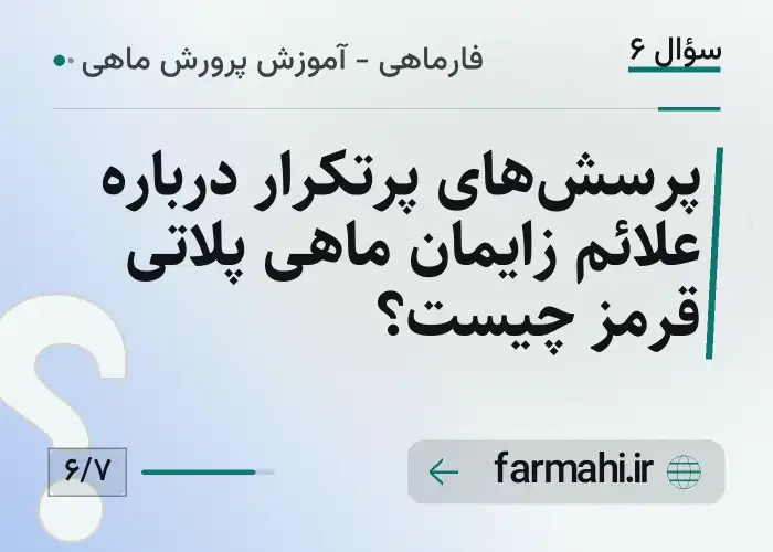 پرسش‌های پرتکرار درباره علائم زایمان ماهی پلاتی قرمز چیست؟