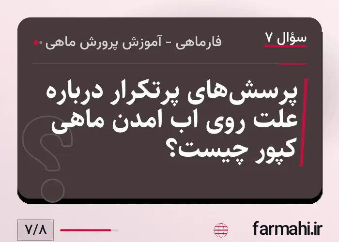 پرسش‌های پرتکرار درباره علت روی اب امدن ماهی کپور چیست؟
