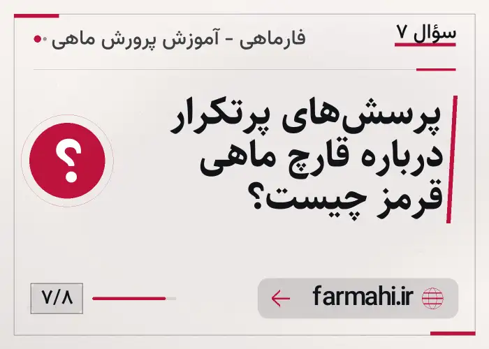 پرسش‌های پرتکرار درباره قارچ ماهی قرمز چیست؟