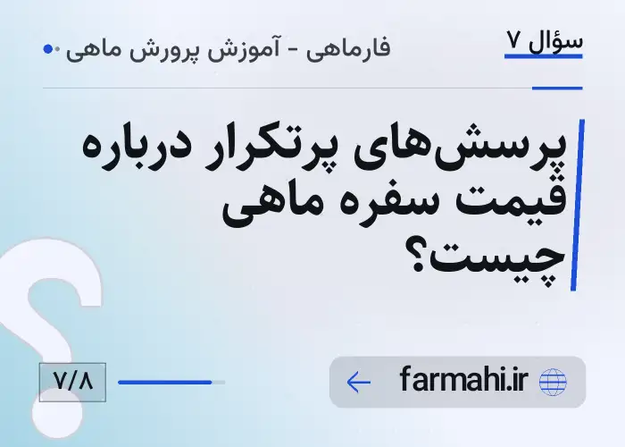 پرسش‌های پرتکرار درباره قیمت سفره ماهی چیست؟
