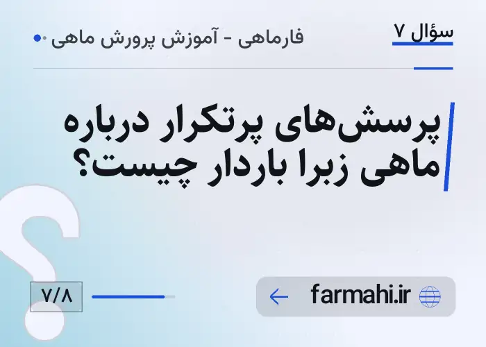 پرسش‌های پرتکرار درباره ماهی زبرا باردار چیست؟