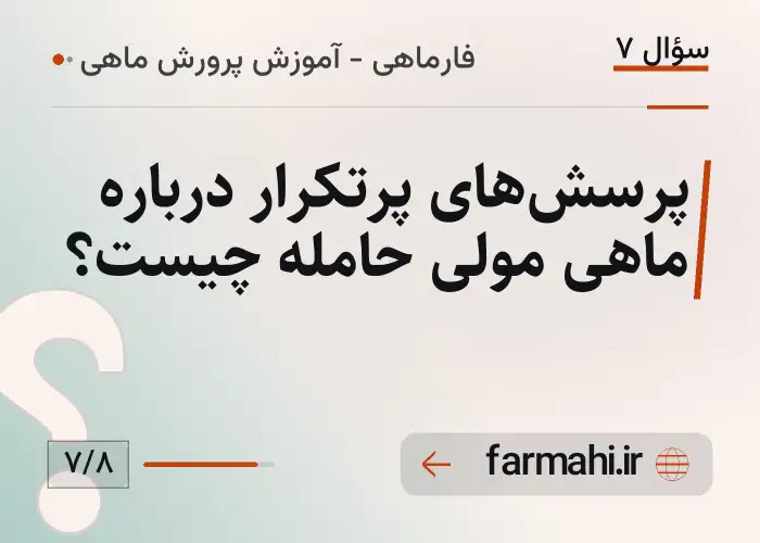 پرسش‌های پرتکرار درباره ماهی مولی حامله چیست؟