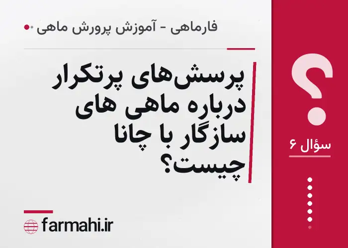 پرسش‌های پرتکرار درباره ماهی های سازگار با چانا چیست؟