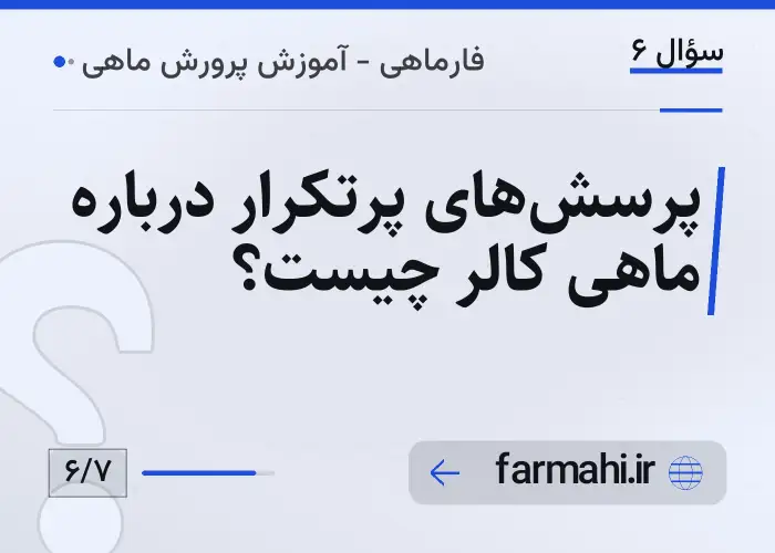 پرسش‌های پرتکرار درباره ماهی کالر چیست؟