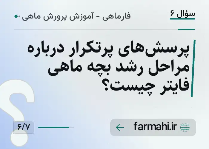 پرسش‌های پرتکرار درباره مراحل رشد بچه ماهی فایتر چیست؟