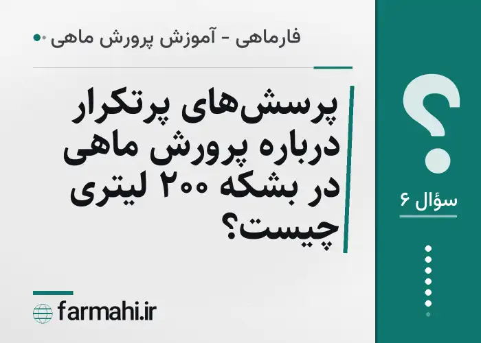 پرسش‌های پرتکرار درباره پرورش ماهی در بشکه ۲۰۰ لیتری چیست؟