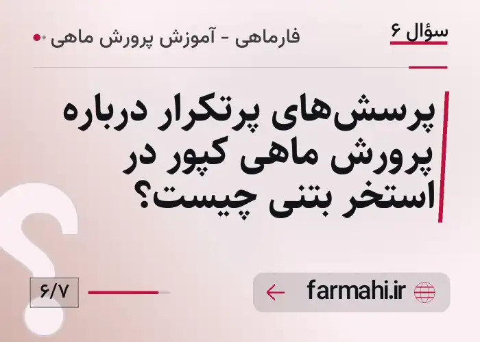 پرسش‌های پرتکرار درباره پرورش ماهی کپور در استخر بتنی چیست؟