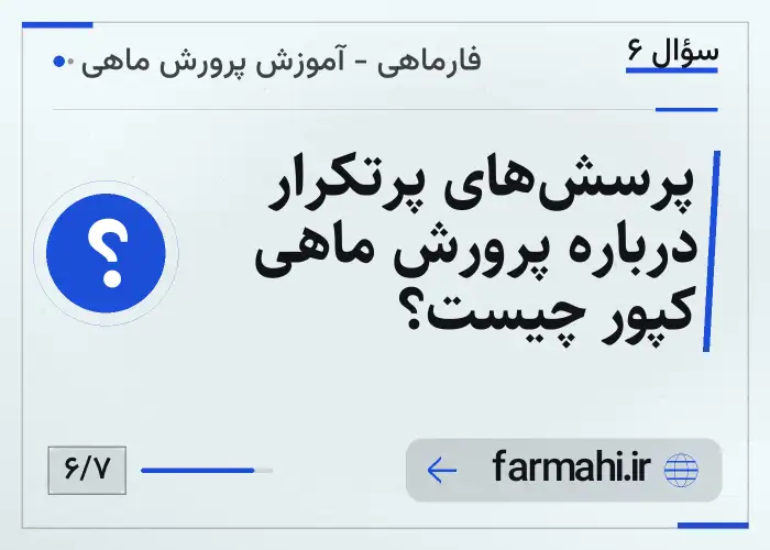 پرسش‌های پرتکرار درباره پرورش ماهی کپور چیست؟
