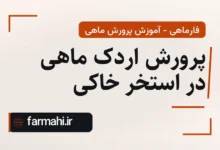 پرورش اردک ماهی در استخر خاکی
