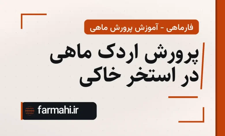 پرورش اردک ماهی در استخر خاکی