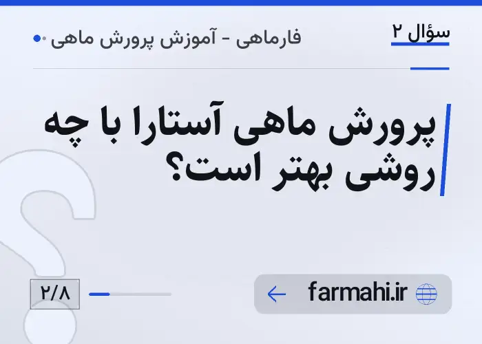 پرورش ماهی آستارا با چه روشی بهتر است؟