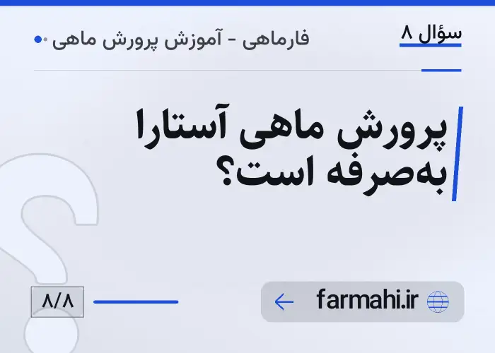 پرورش ماهی آستارا به‌صرفه است؟