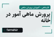 پرورش ماهی آمور در خانه