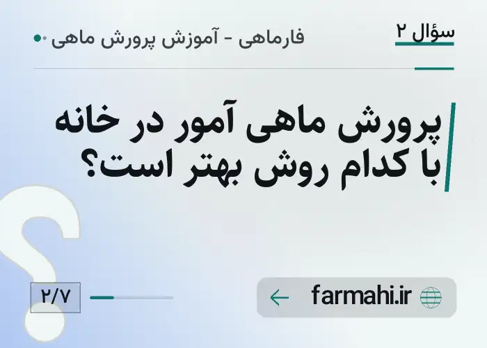 پرورش ماهی آمور در خانه با کدام روش بهتر است؟
