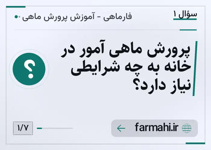 پرورش ماهی آمور در خانه به چه شرایطی نیاز دارد؟