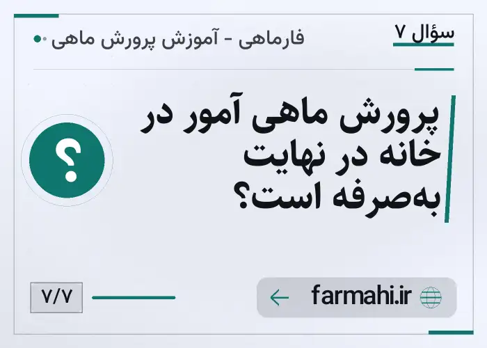 پرورش ماهی آمور در خانه در نهایت به‌صرفه است؟