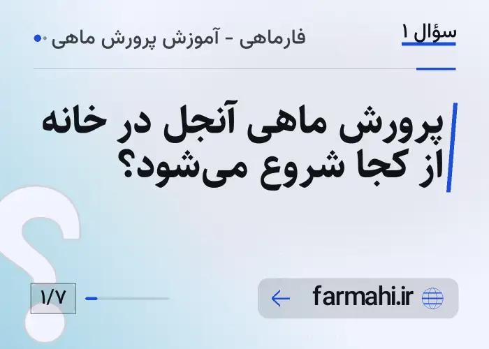 پرورش ماهی آنجل در خانه از کجا شروع می‌شود؟