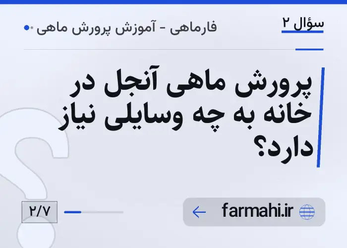 پرورش ماهی آنجل در خانه به چه وسایلی نیاز دارد؟