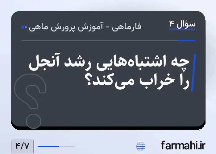 چه اشتباه‌هایی رشد آنجل را خراب می‌کند؟