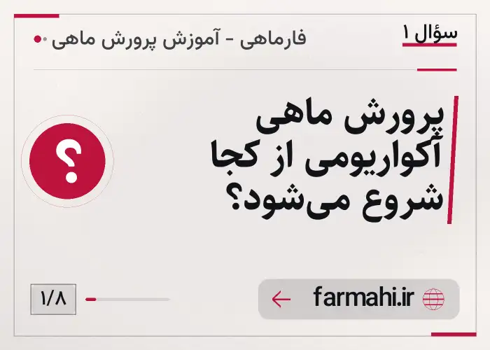پرورش ماهی آکواریومی از کجا شروع می‌شود؟