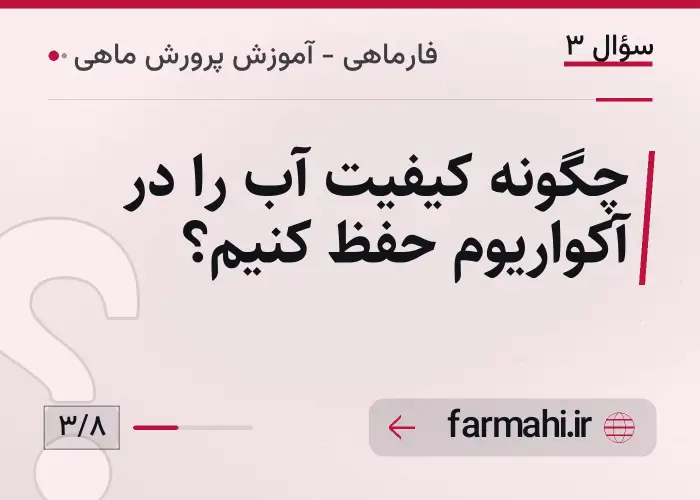چگونه کیفیت آب را در آکواریوم حفظ کنیم؟