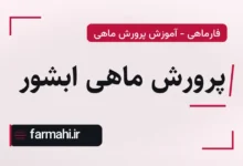 پرورش ماهی ابشور