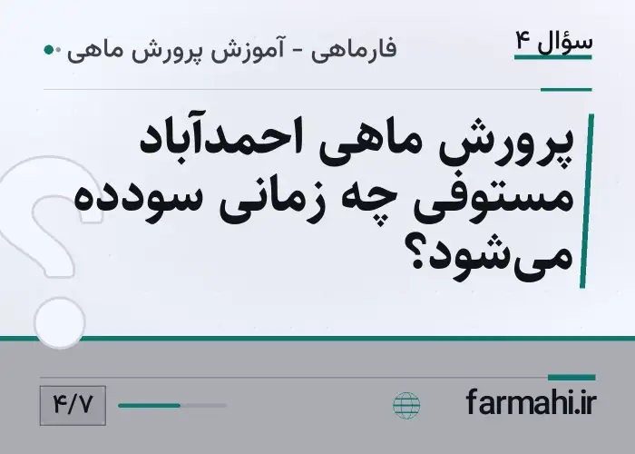 پرورش ماهی احمدآباد مستوفی چه زمانی سودده می‌شود؟