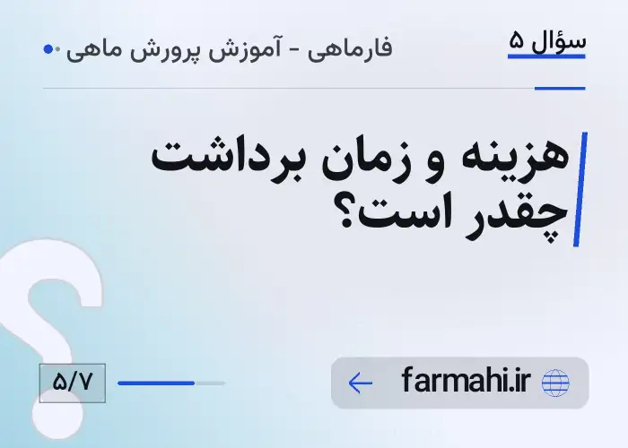 هزینه و زمان برداشت چقدر است؟
