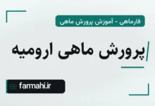 پرورش ماهی ارومیه
