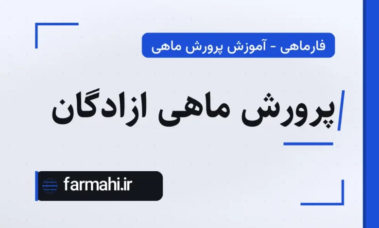 پرورش ماهی ازادگان