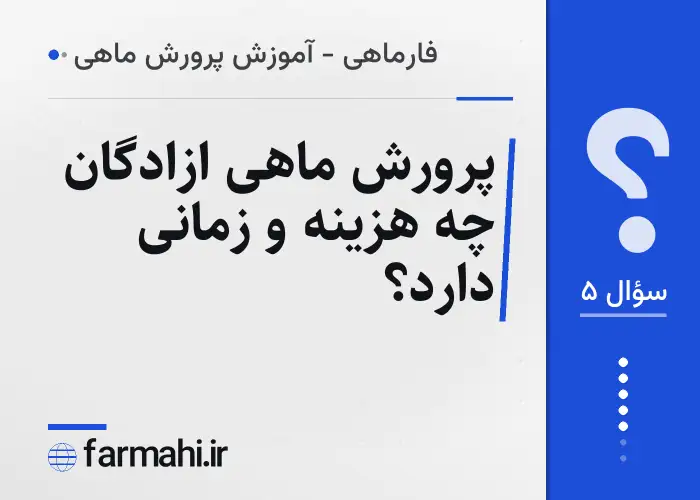 پرورش ماهی ازادگان چه هزینه و زمانی دارد؟