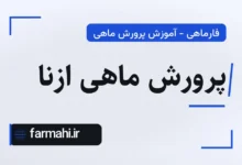 پرورش ماهی ازنا