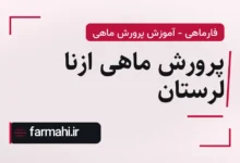 پرورش ماهی ازنا لرستان
