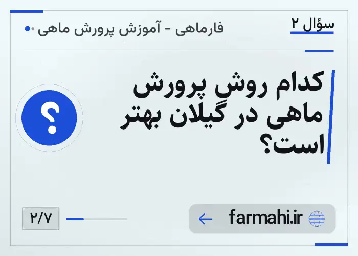کدام روش پرورش ماهی در گیلان بهتر است؟