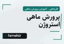 پرورش ماهی استروژن
