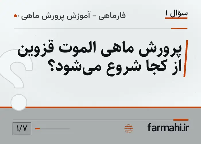 پرورش ماهی الموت قزوین از کجا شروع می‌شود؟