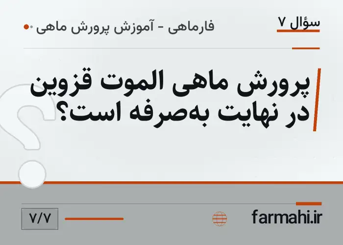 پرورش ماهی الموت قزوین در نهایت به‌صرفه است؟