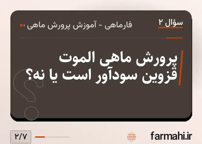 پرورش ماهی الموت قزوین سودآور است یا نه؟