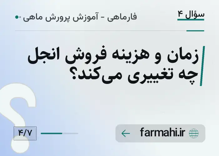 زمان و هزینه فروش انجل چه تغییری می‌کند؟