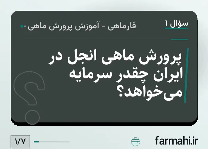 پرورش ماهی انجل در ایران چقدر سرمایه می‌خواهد؟