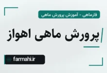 پرورش ماهی اهواز
