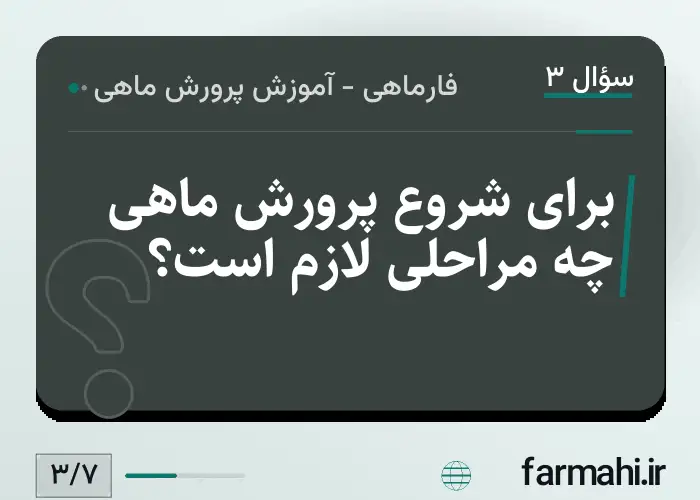 برای شروع پرورش ماهی چه مراحلی لازم است؟